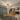 Mobilat & Utilat Complet | 2 Camere Renovate – Tractoru, Zona Cerna