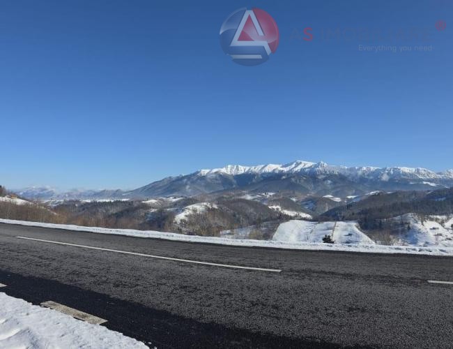 Oportunitate Unică! Teren 10.669 mp în Moieciu de Jos – Natură Pură, Pârâu și Potențial Turistic Maxim