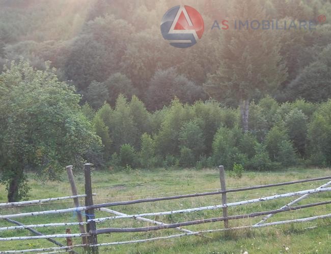 Oportunitate Unică! Teren 10.669 mp în Moieciu de Jos – Natură Pură, Pârâu și Potențial Turistic Maxim