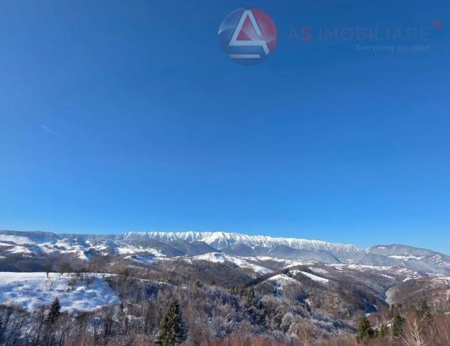 Oportunitate Unică! Teren 10.669 mp în Moieciu de Jos – Natură Pură, Pârâu și Potențial Turistic Maxim