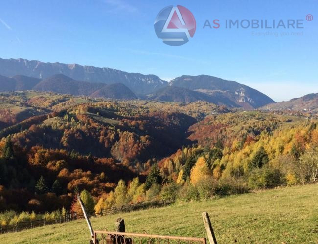 Oportunitate Unică! Teren 10.669 mp în Moieciu de Jos – Natură Pură, Pârâu și Potențial Turistic Maxim