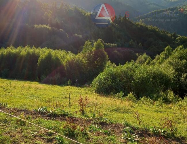 Oportunitate Unică! Teren 10.669 mp în Moieciu de Jos – Natură Pură, Pârâu și Potențial Turistic Maxim