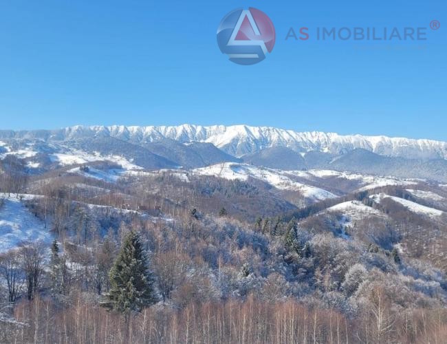 Oportunitate Unică! Teren 10.669 mp în Moieciu de Jos – Natură Pură, Pârâu și Potențial Turistic Maxim