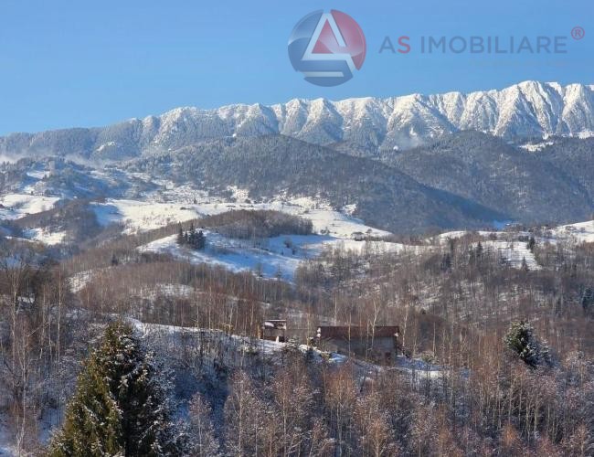 Oportunitate Unică! Teren 10.669 mp în Moieciu de Jos – Natură Pură, Pârâu și Potențial Turistic Maxim