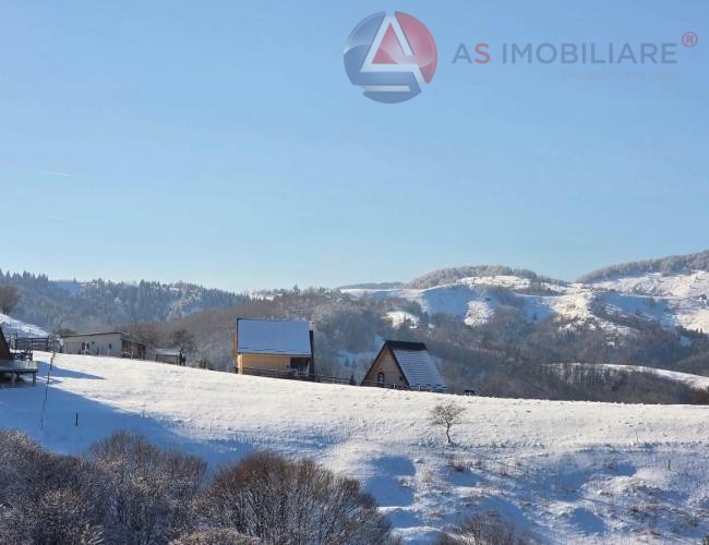 Oportunitate Unică! Teren 10.669 mp în Moieciu de Jos – Natură Pură, Pârâu și Potențial Turistic Maxim