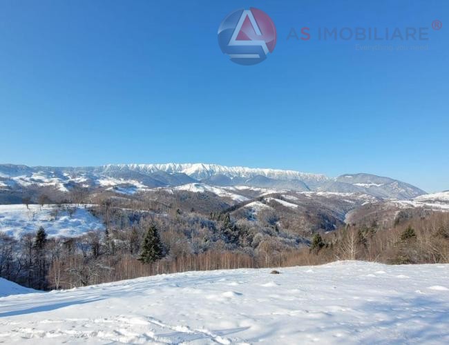 Oportunitate Unică! Teren 10.669 mp în Moieciu de Jos – Natură Pură, Pârâu și Potențial Turistic Maxim