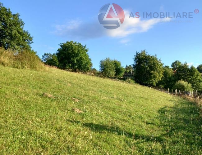 Oportunitate Unică! Teren 10.669 mp în Moieciu de Jos – Natură Pură, Pârâu și Potențial Turistic Maxim
