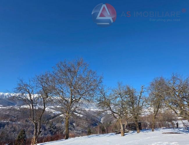 Oportunitate Unică! Teren 10.669 mp în Moieciu de Jos – Natură Pură, Pârâu și Potențial Turistic Maxim