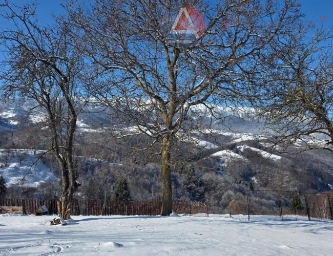 Oportunitate Unică! Teren 10.669 mp în Moieciu de Jos – Natură Pură, Pârâu și Potențial Turistic Maxim