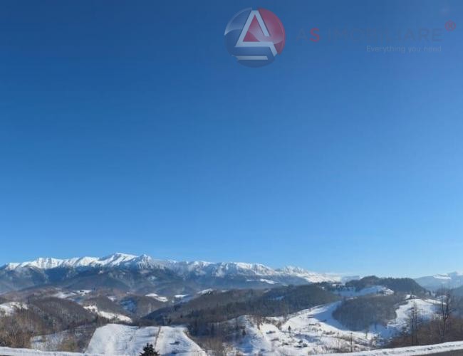Oportunitate Unică! Teren 10.669 mp în Moieciu de Jos – Natură Pură, Pârâu și Potențial Turistic Maxim
