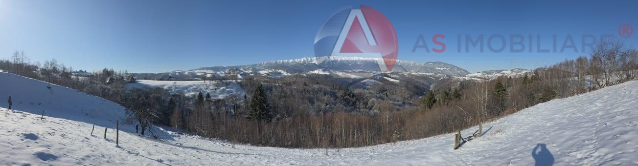 Oportunitate Unică! Teren 10.669 mp în Moieciu de Jos – Natură Pură, Pârâu și Potențial Turistic Maxim