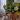 Apartament Modern 2 Camere + Parcare | Brașov, Zona Coresi -Ansamblul Grandis