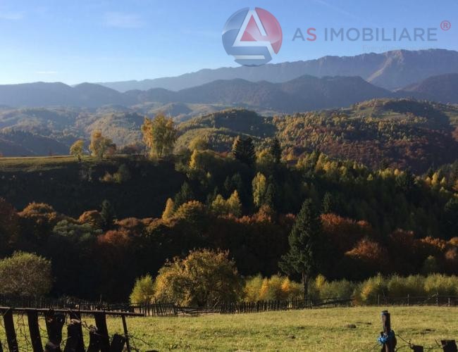 Oportunitate Unică! Teren 10.669 mp în Moieciu de Jos – Natură Pură, Pârâu și Potențial Turistic Maxim
